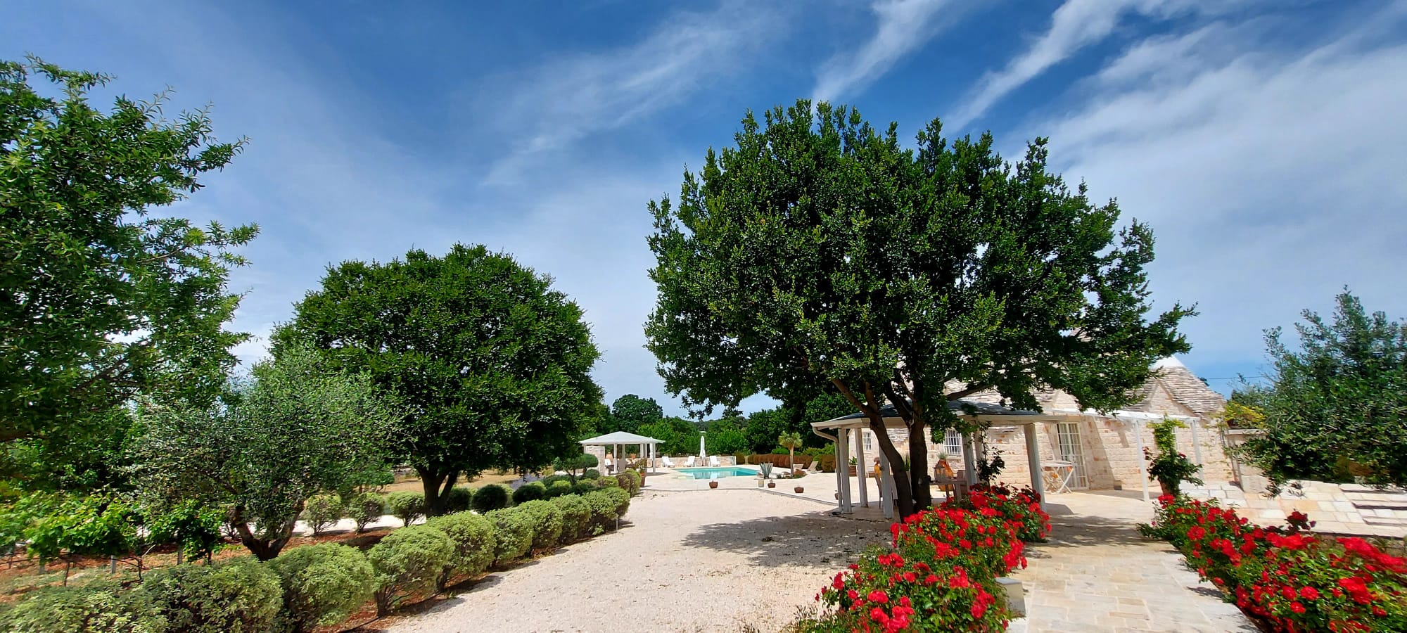 PHOTO-2024-12-09-18-48-04